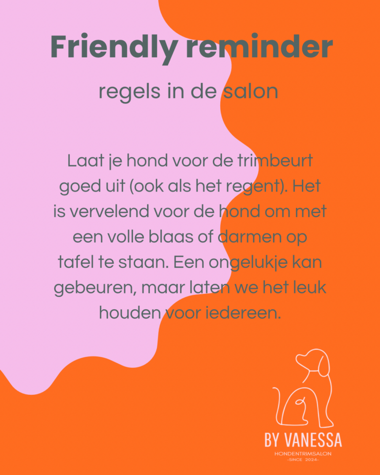 Roze Oranje Modern Minimaal Blog Instagram-Bericht - 1