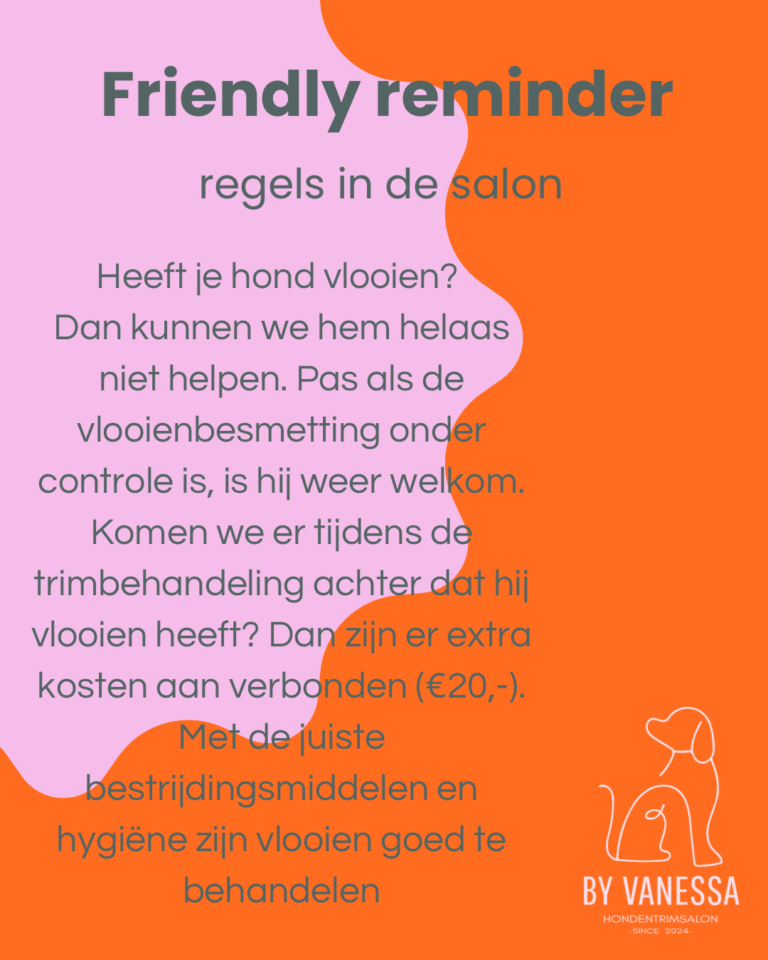 Roze Oranje Modern Minimaal Blog Instagram-Bericht - 2