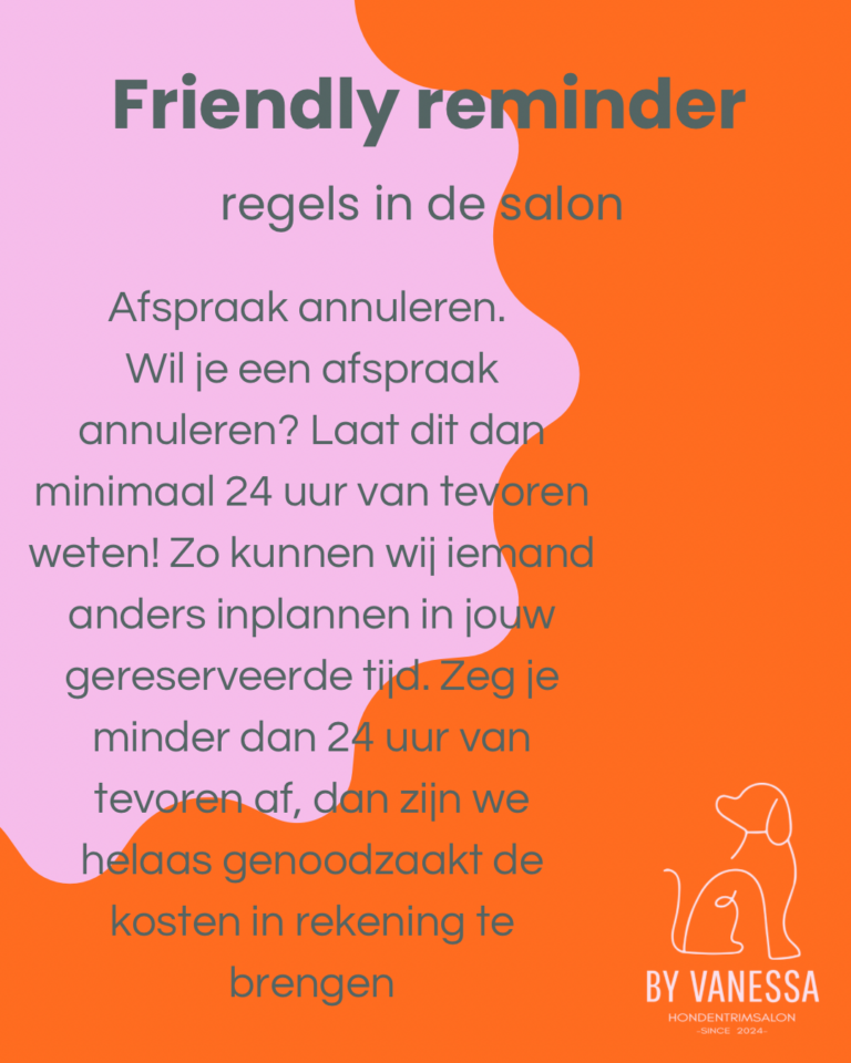 Roze Oranje Modern Minimaal Blog Instagram-Bericht - 3