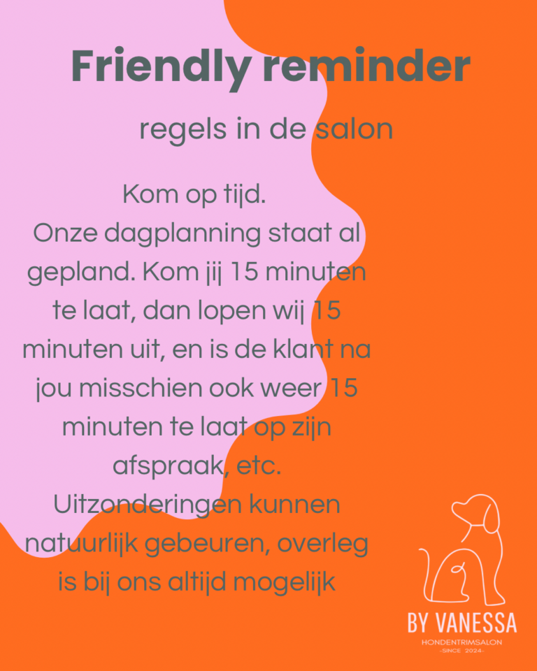 Roze Oranje Modern Minimaal Blog Instagram-Bericht - 4