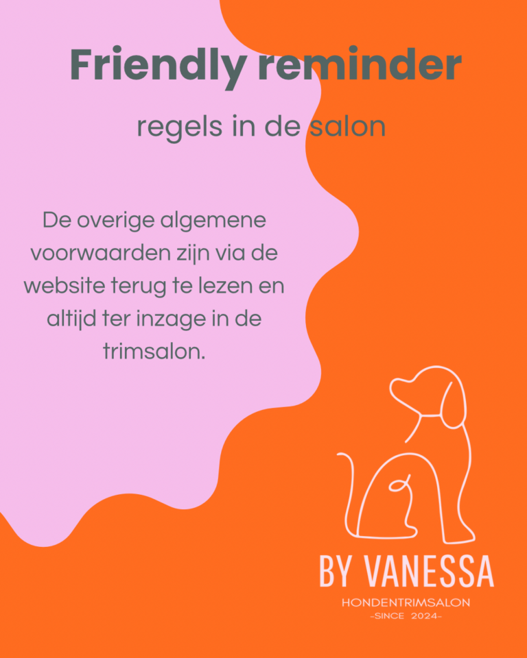 Roze Oranje Modern Minimaal Blog Instagram-Bericht - 5