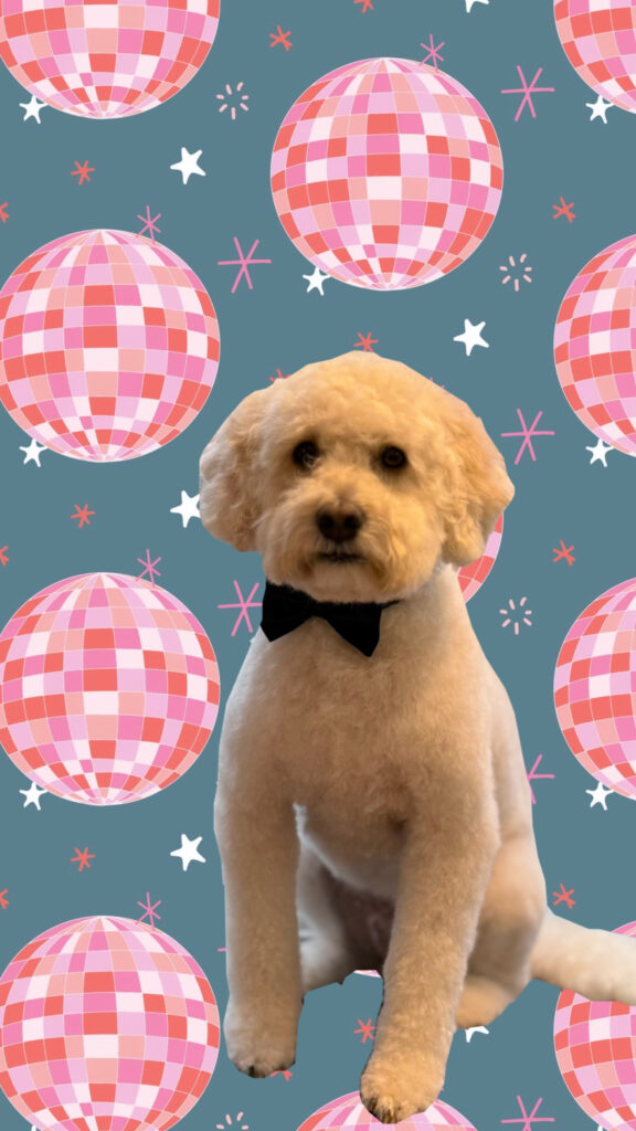 3F50EEEC-CCB5-47C4-B0D3-928656ED1896