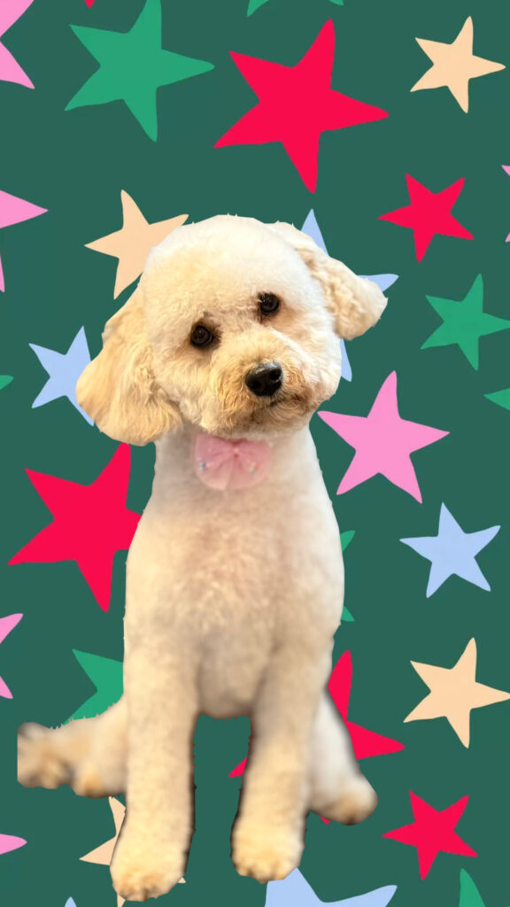 4331B399-827D-485E-BB5E-2DCA975F744C