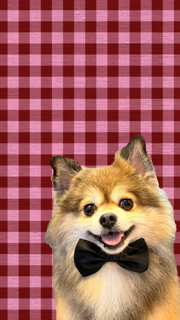 77ACFA38-9676-42C9-ADDD-7520CACECCC1