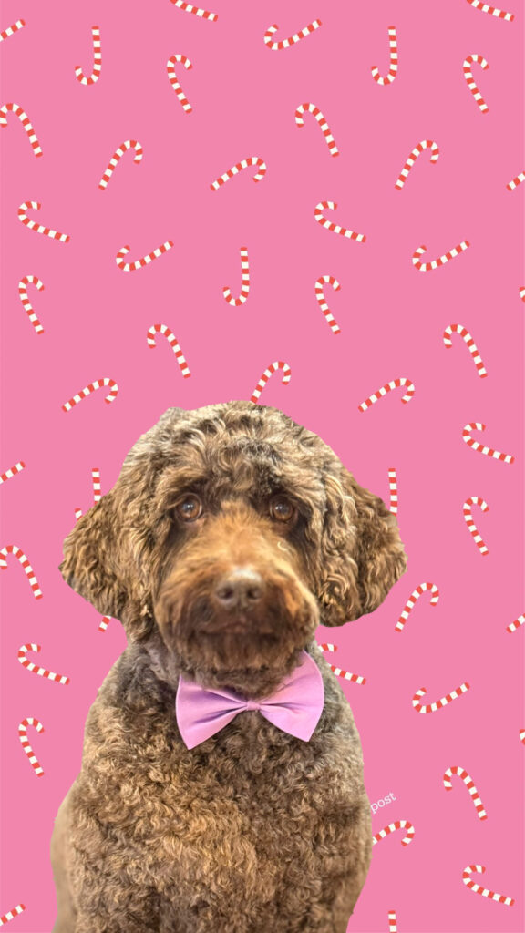 92CB813A-E5F9-4312-A62E-FDE43DFD9C74